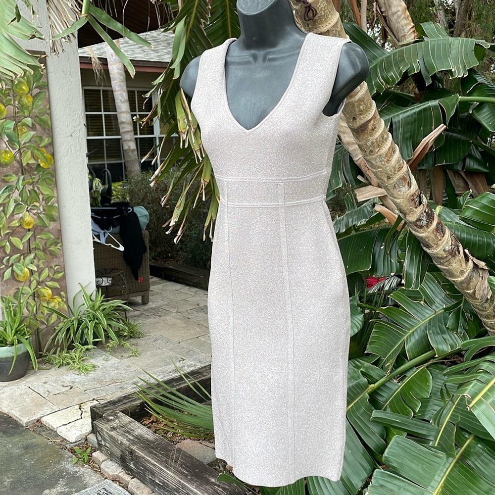 BCBG silver metallic body con scuba net dress